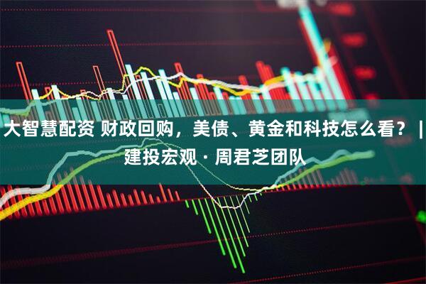 大智慧配资 财政回购，美债、黄金和科技怎么看？ | 建投宏观 · 周君芝团队